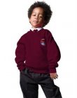 Russell V-Neck Sweatshirt